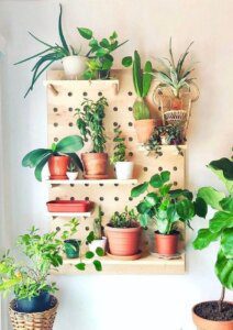 O-pegboard-madeira-serve-de-suporte-para-diferentes-vasos-de-plantas.-Fonte-Gazeta-do-Povo-capa.jpg